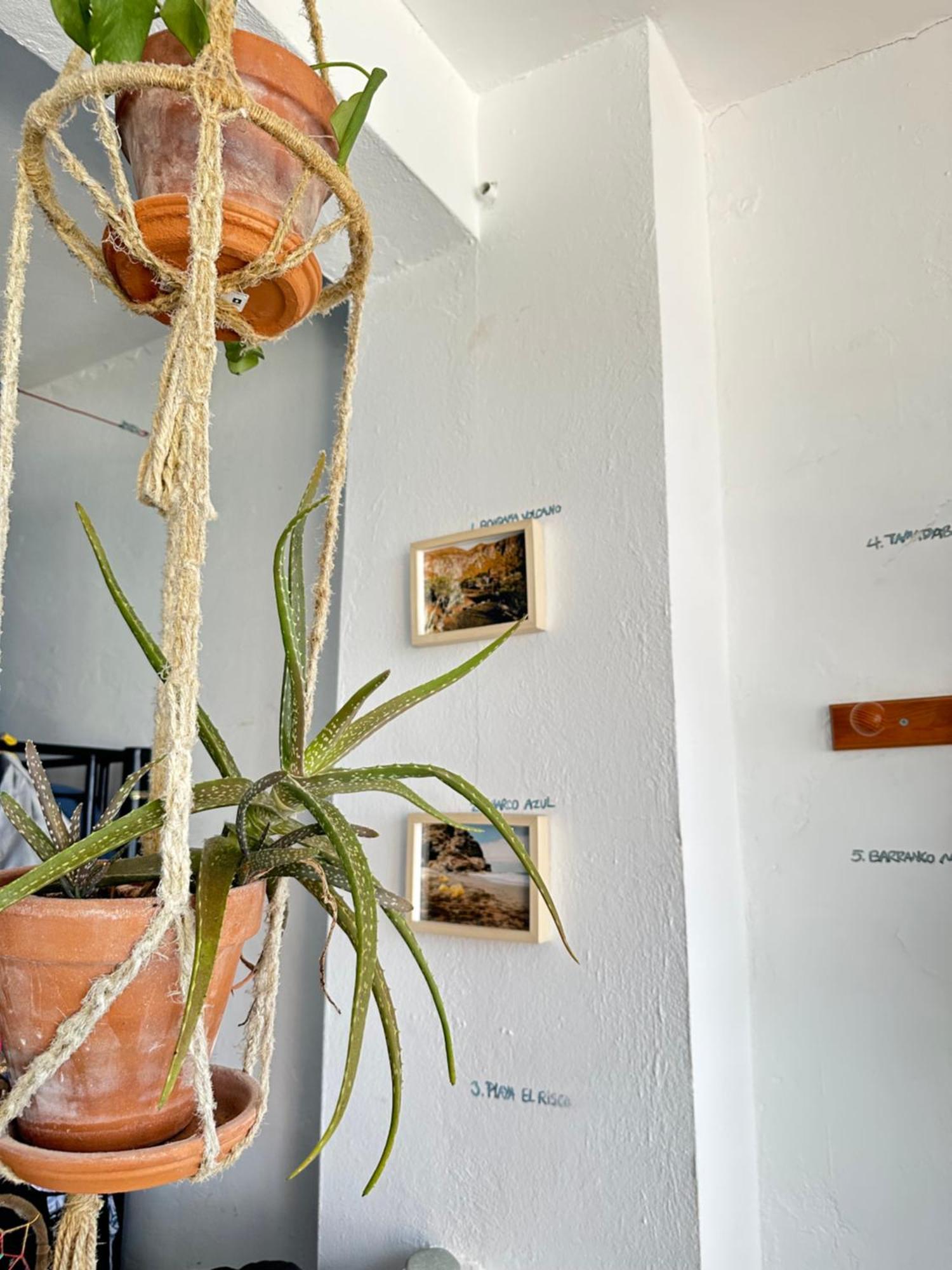 Agueita House Hostel Las Palmas de Gran Canaria Luaran gambar